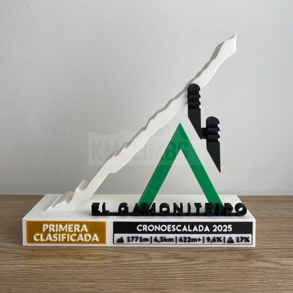 Proyecto IV Cicloturista El Gamoniteiro