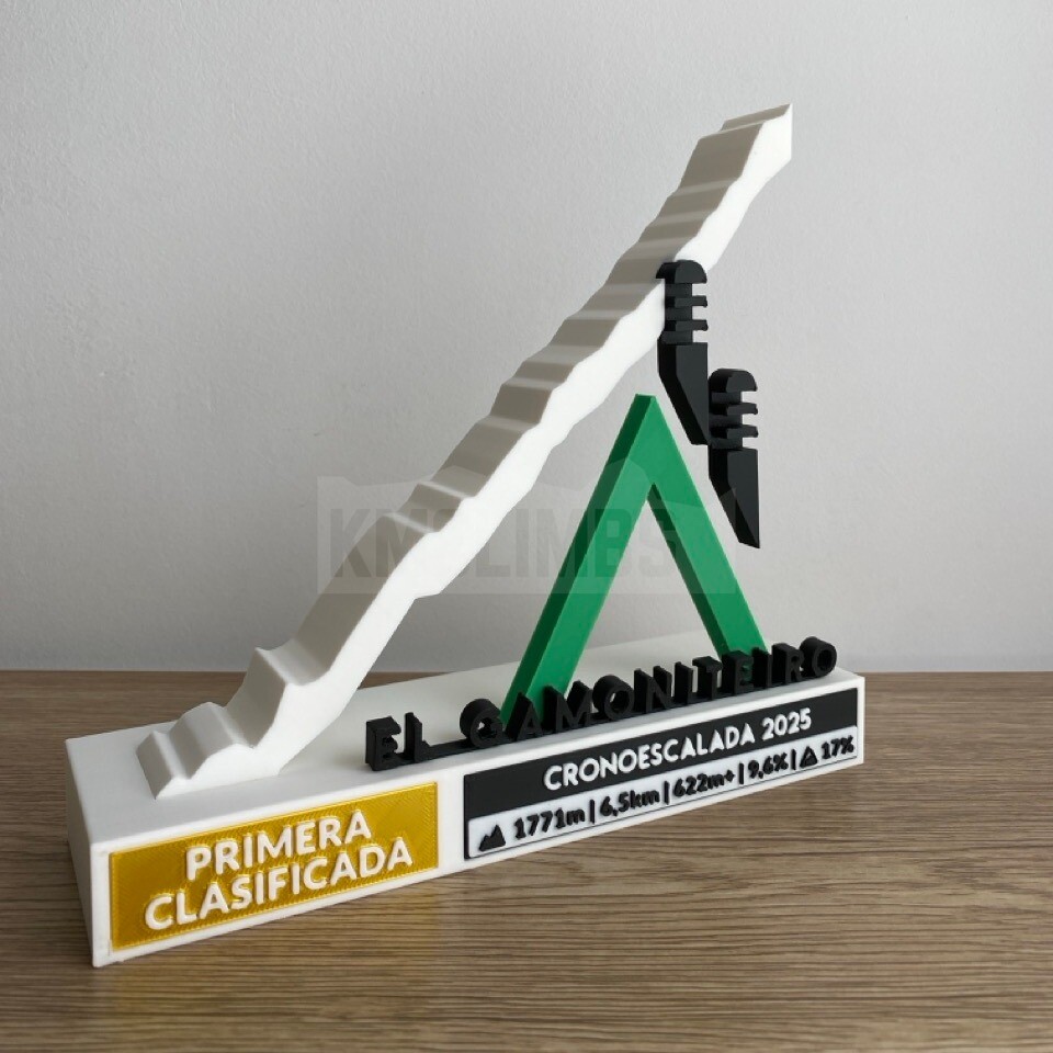 Detalle del proyecto IV Cicloturista El Gamoniteiro - imagen 2