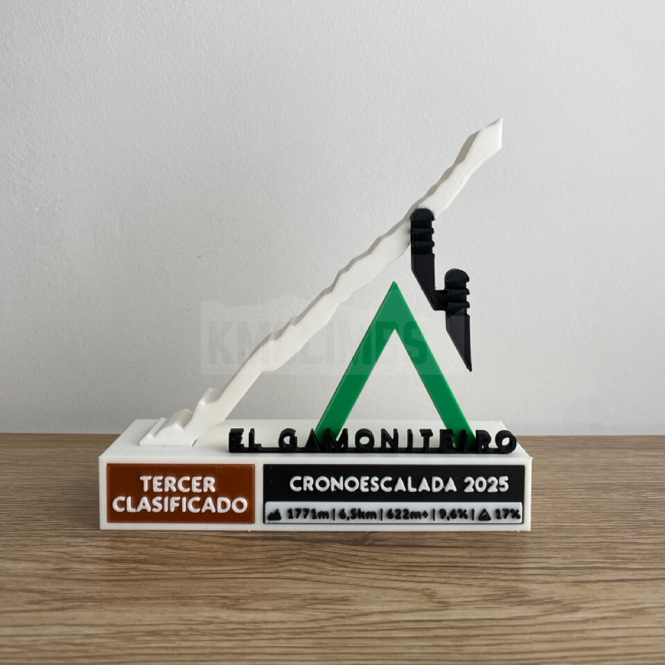 Detalle del proyecto IV Cicloturista El Gamoniteiro - imagen 4