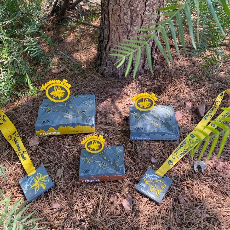Proyecto VIII Valdelinares Trails