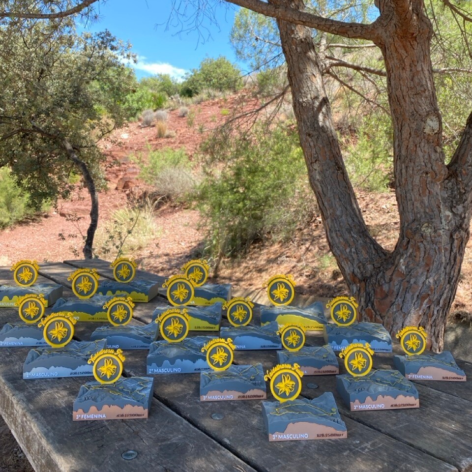 Detalle del proyecto VIII Valdelinares Trails - imagen 4