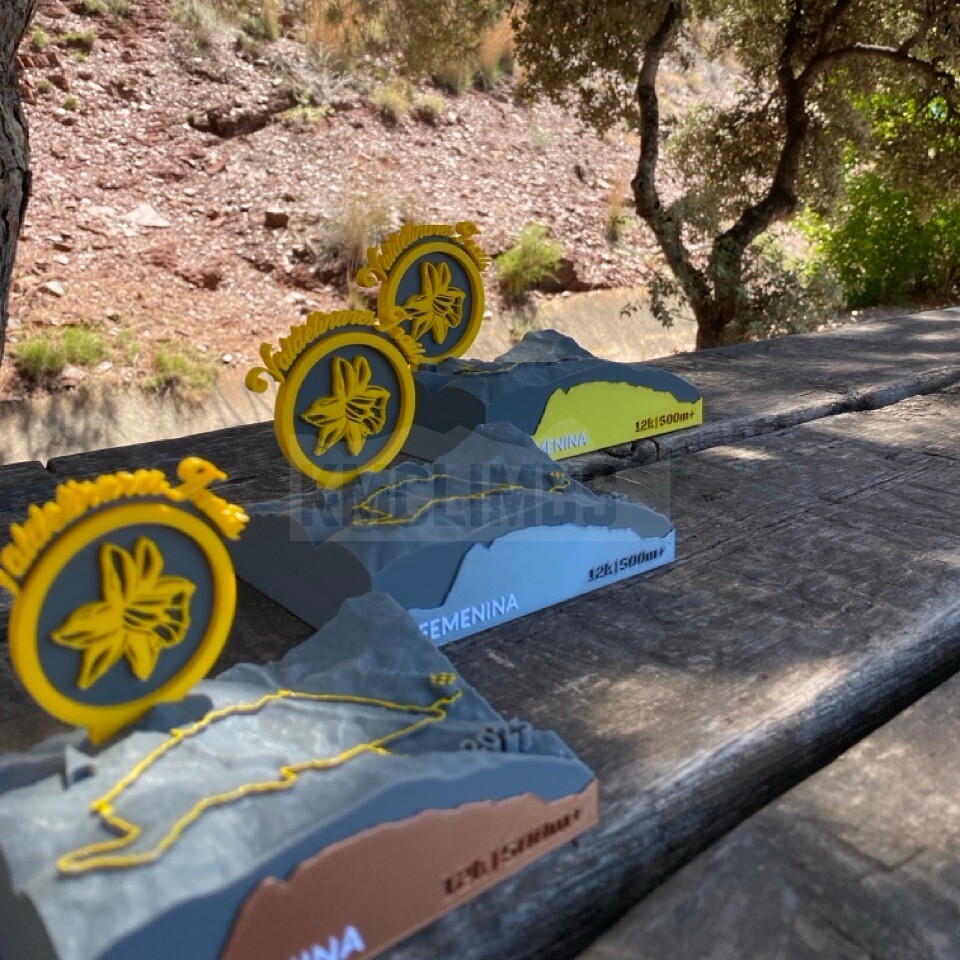 Detalle del proyecto VIII Valdelinares Trails - imagen 2