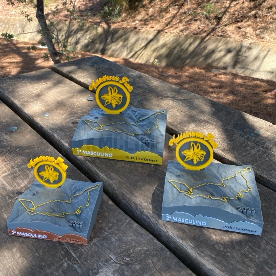 Detalle del proyecto VIII Valdelinares Trails - imagen 3
