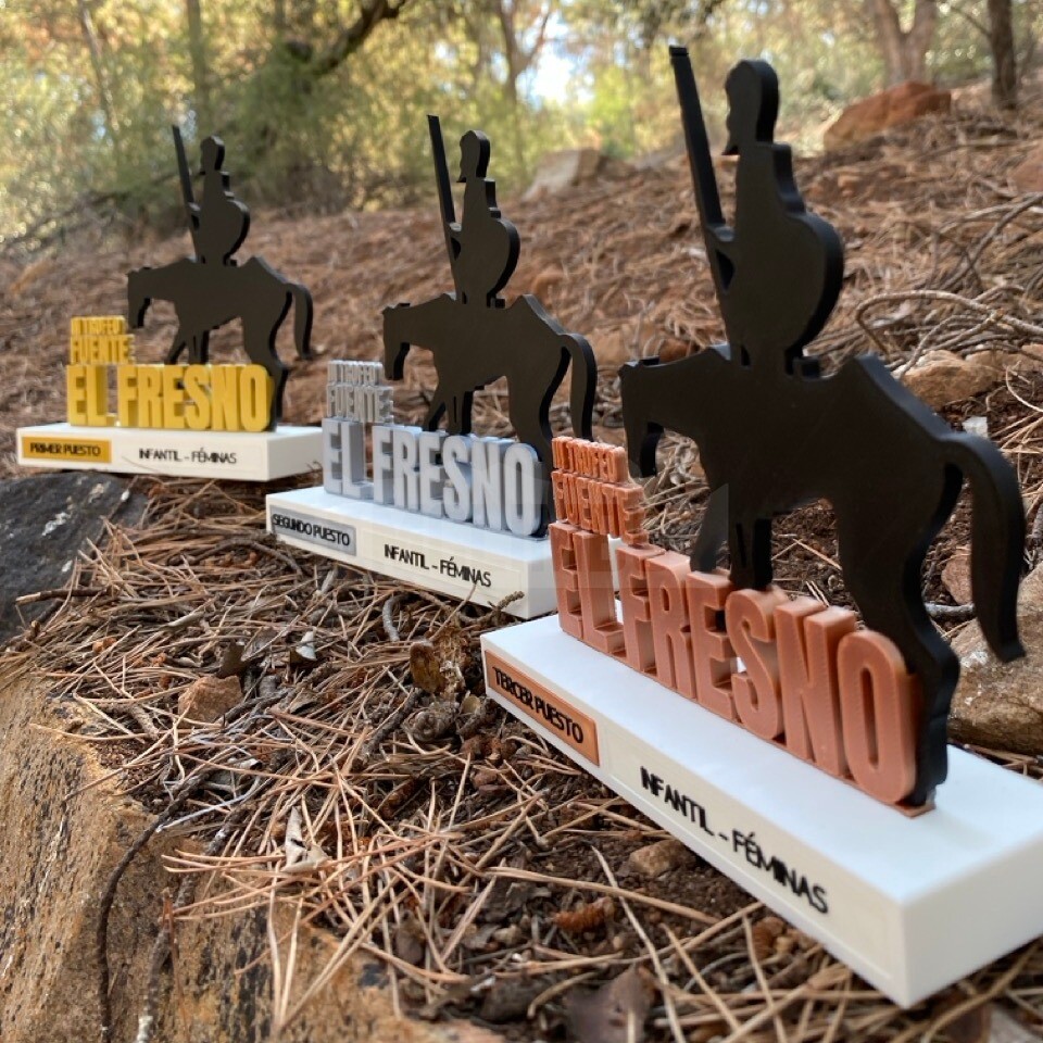 Detalle del proyecto III Trofeo Escuelas Villa de Fuente el Fresno - imagen 3