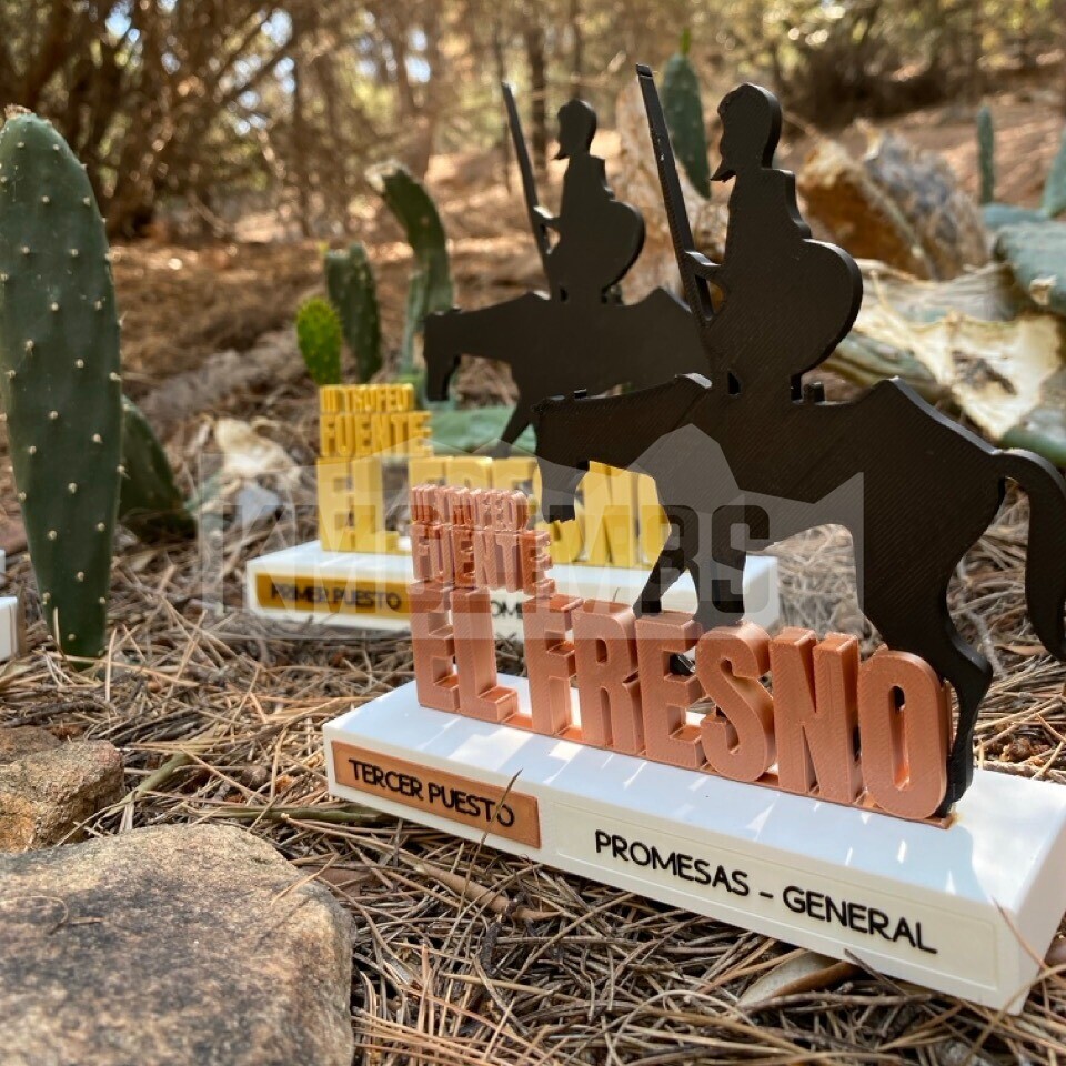 Detalle del proyecto III Trofeo Escuelas Villa de Fuente el Fresno - imagen 4
