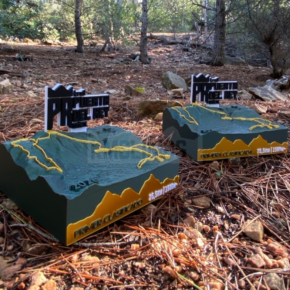 Proyecto IX Trail Puerta del Rey