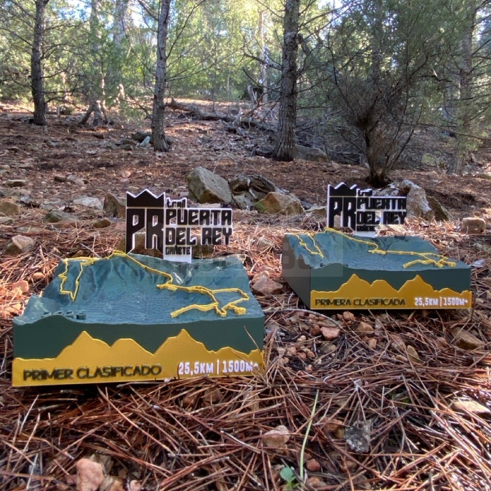 Detalle del proyecto IX Trail Puerta del Rey - imagen 2