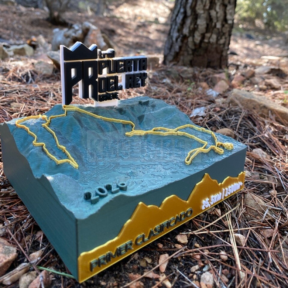 Detalle del proyecto IX Trail Puerta del Rey - imagen 3