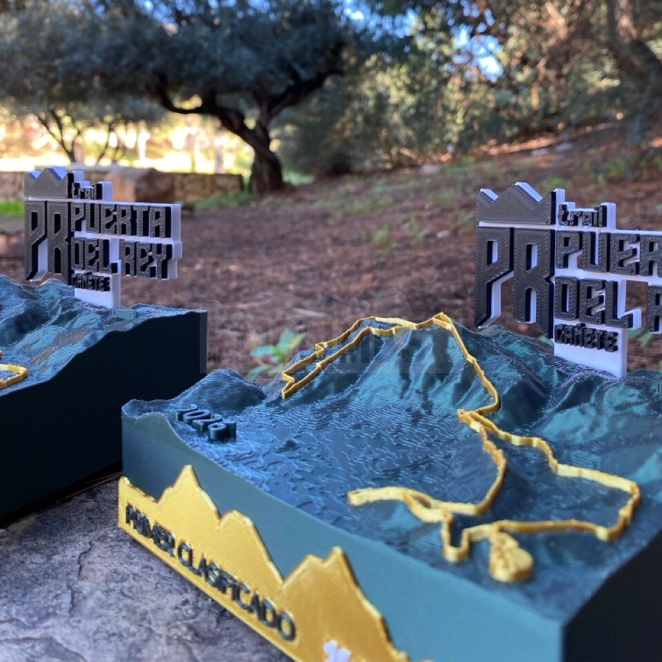 Detalle del proyecto IX Trail Puerta del Rey - imagen 4