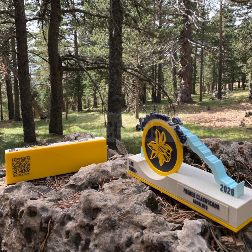 Detalle del proyecto IX Valdelinares Trails - imagen 4