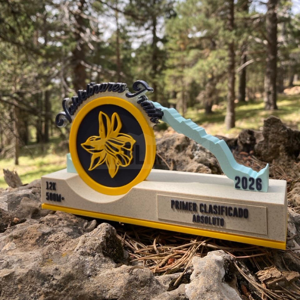 Detalle del proyecto IX Valdelinares Trails - imagen 3