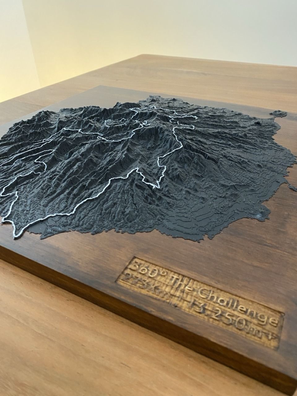 Mapa 3D Edición Especial - Imagen 11