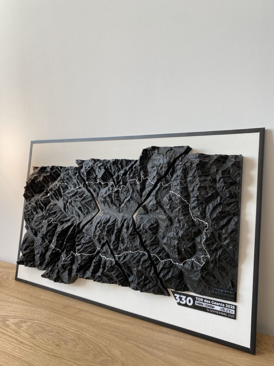 Mapa 3D Edición Especial - Imagen 4