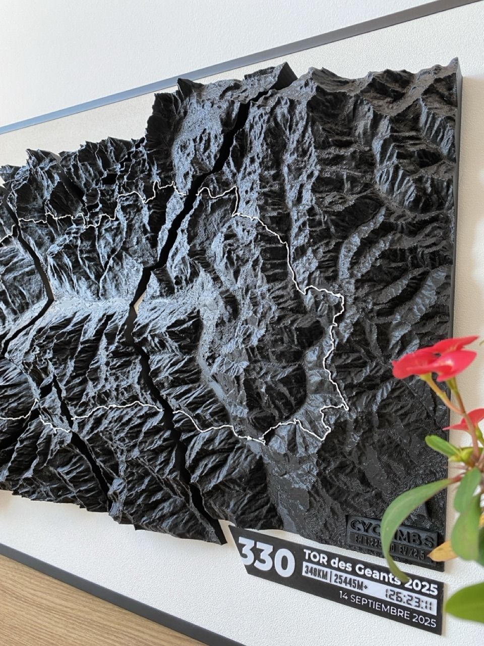 Mapa 3D Edición Especial - Imagen 5