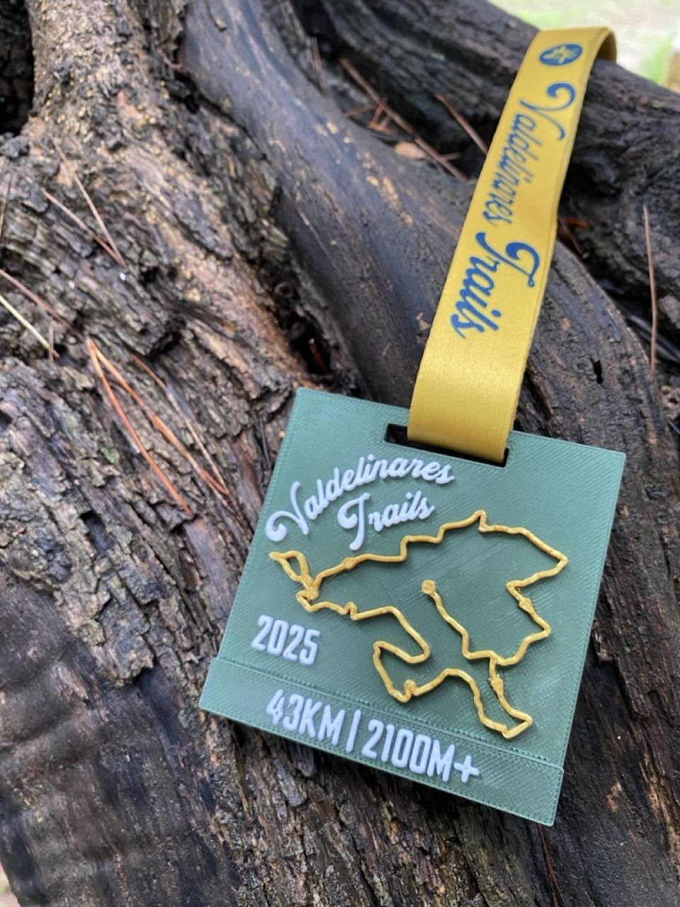Medalla 3D lisa con track del recorrido - Imagen 2