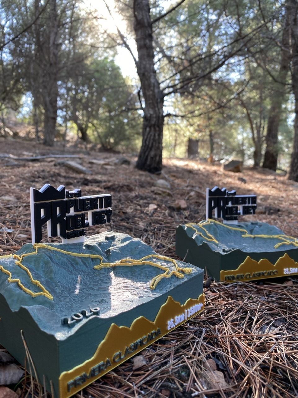 Trofeo Mapa 3D - LITE - Imagen 6