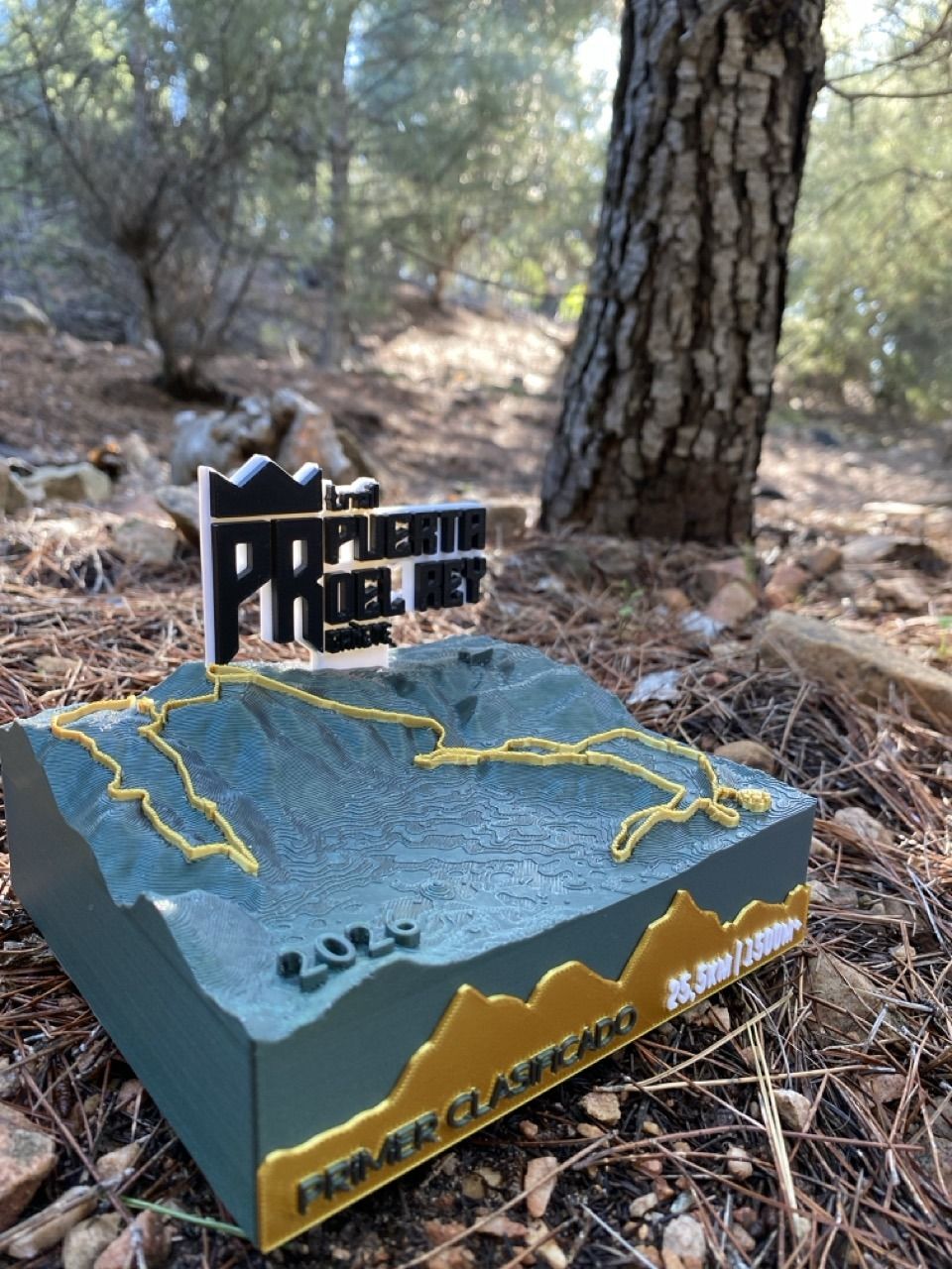 Trofeo Mapa 3D - LITE