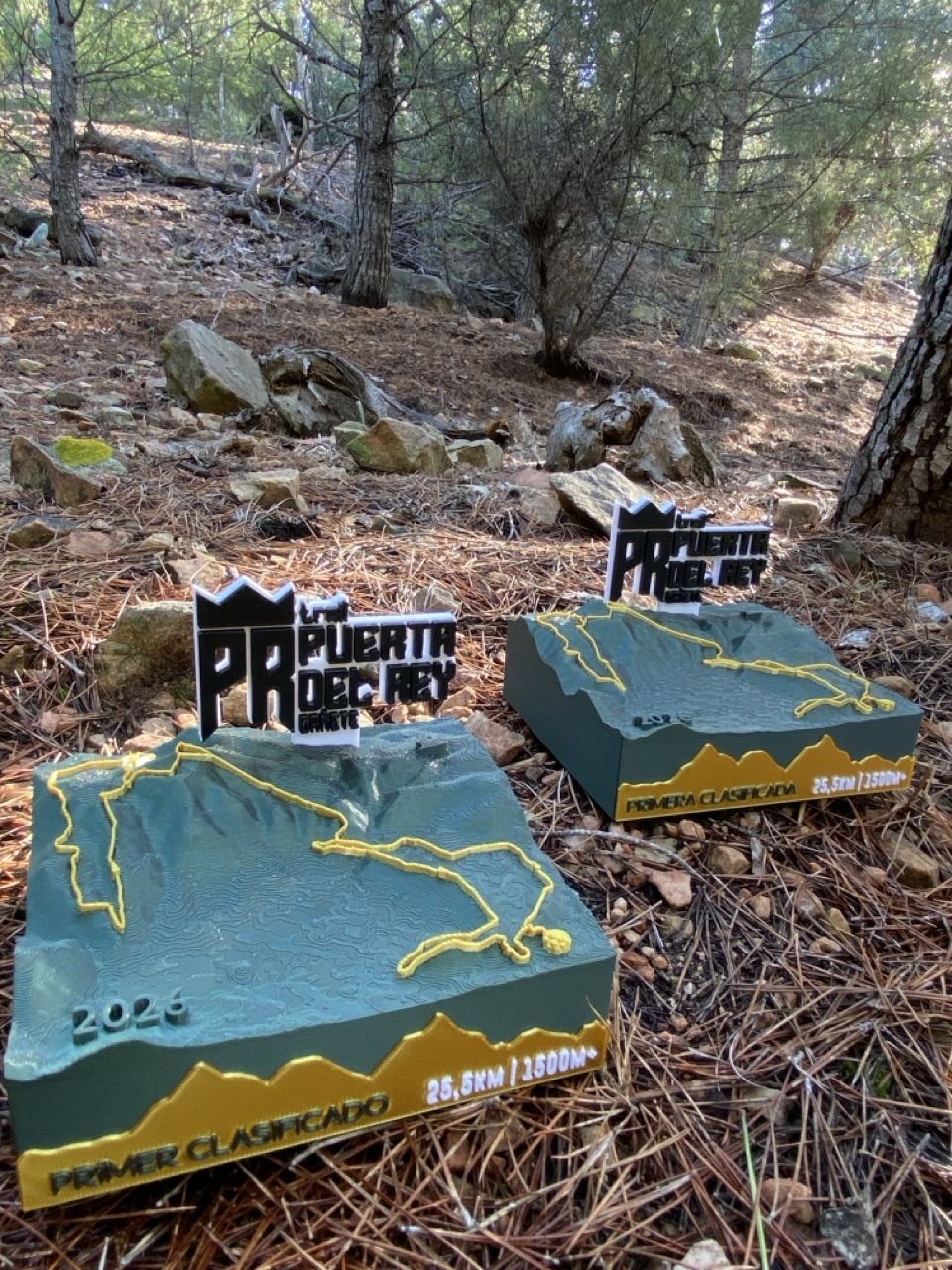 Trofeo Mapa 3D - LITE - Imagen 4