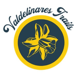 Logo de IX Valdelinares Trails