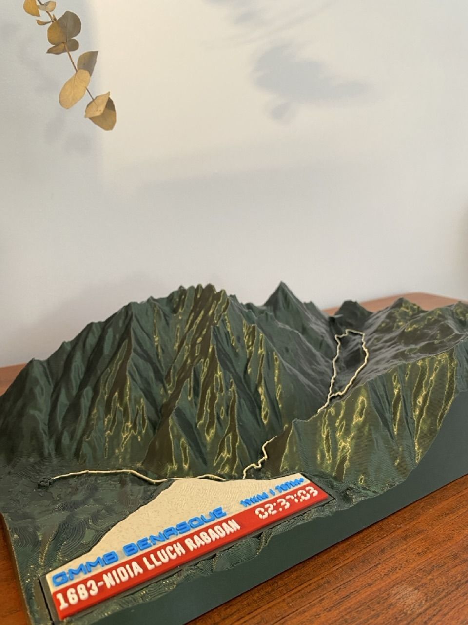 Mapa 3D con altimetría - Imagen 4