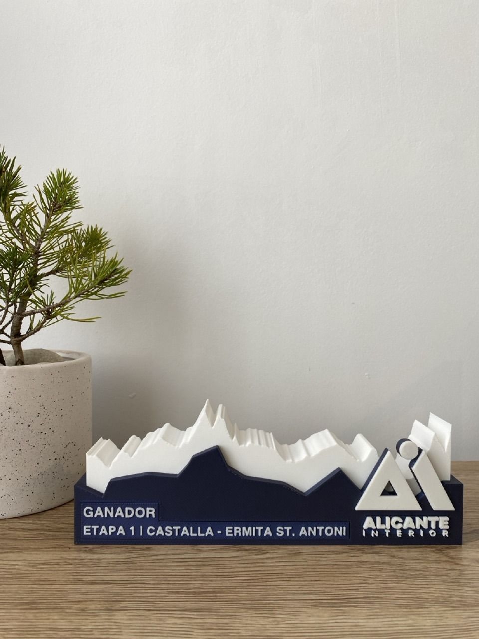 Trofeo Altimetría - MAX - Imagen 4